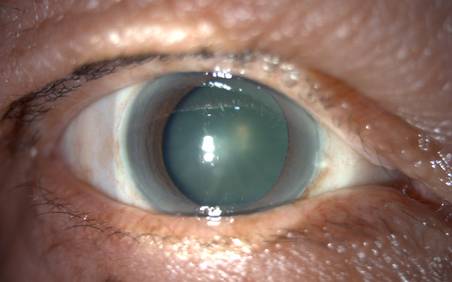 diseño sin título (10)